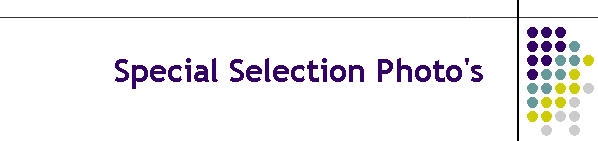 Special Selection Photo's